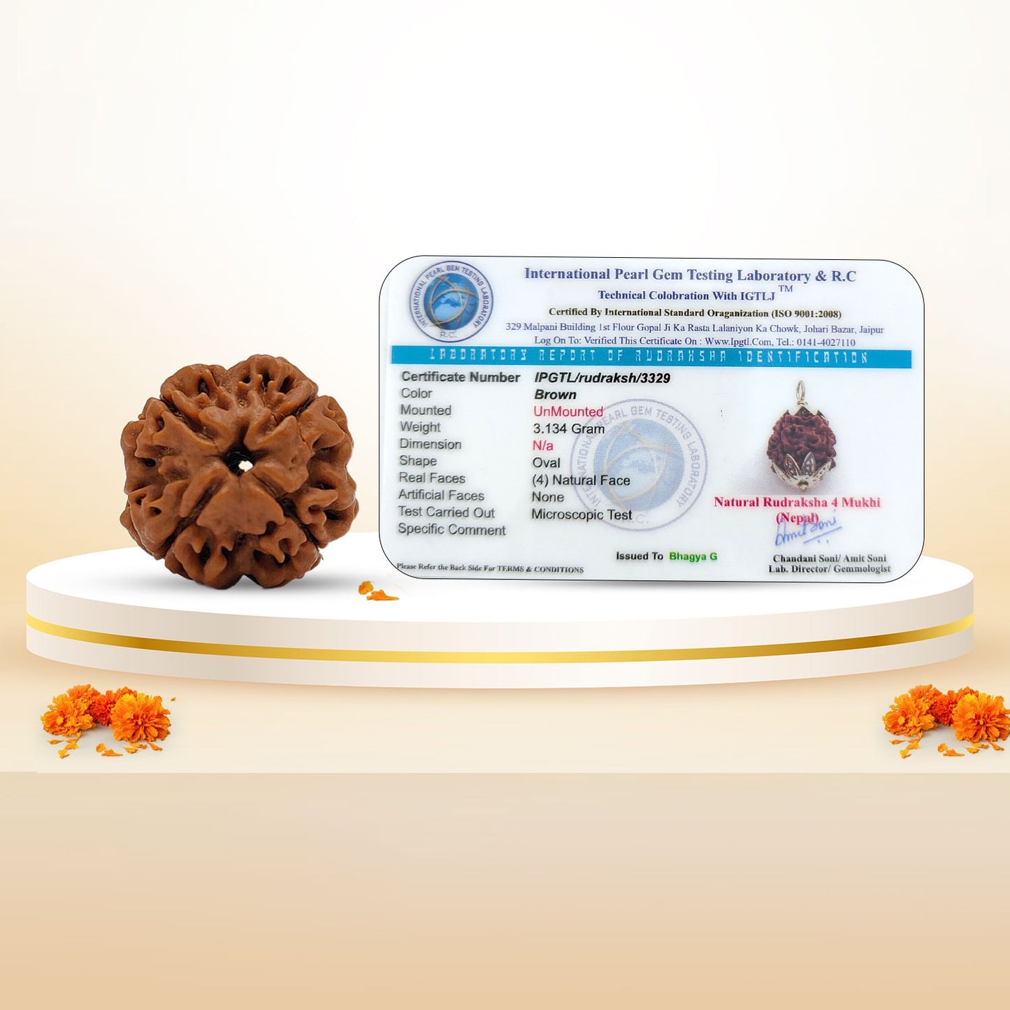 RudraPrana™ 4 Mukhi Rudraksha Pendant - Nepal Origin