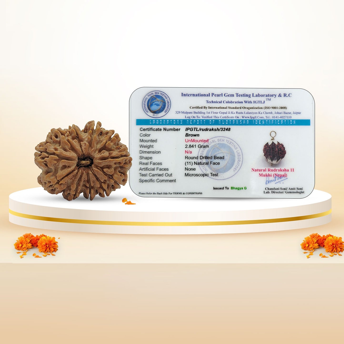 RudraPrana™ 11 Mukhi Rudraksha Pendant - Nepal Origin