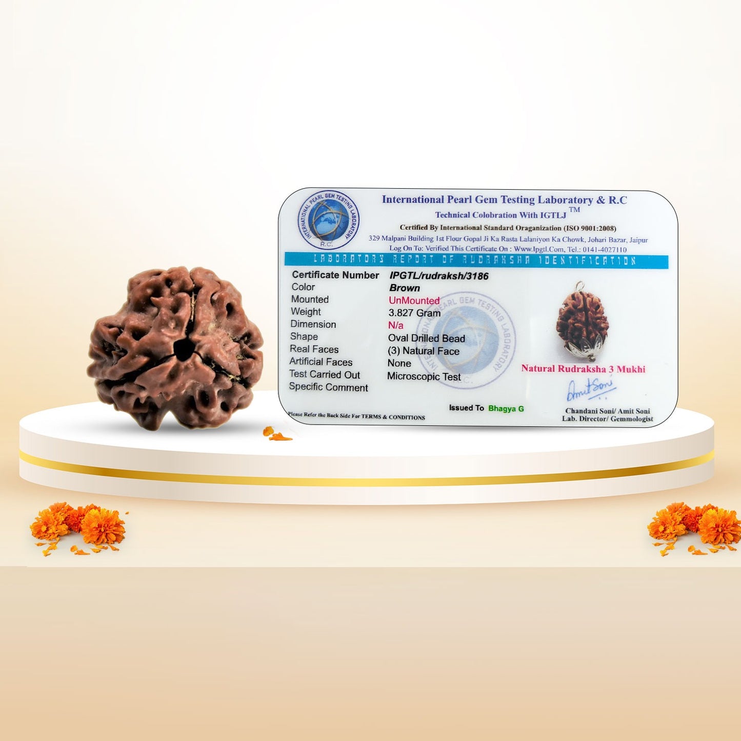 RudraPrana™ 3 Mukhi Rudraksha Pendant - Nepal Origin