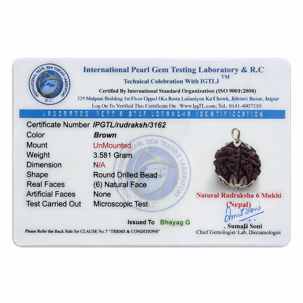 RudraPrana™ 6 Mukhi Rudraksha - Nepal Origin