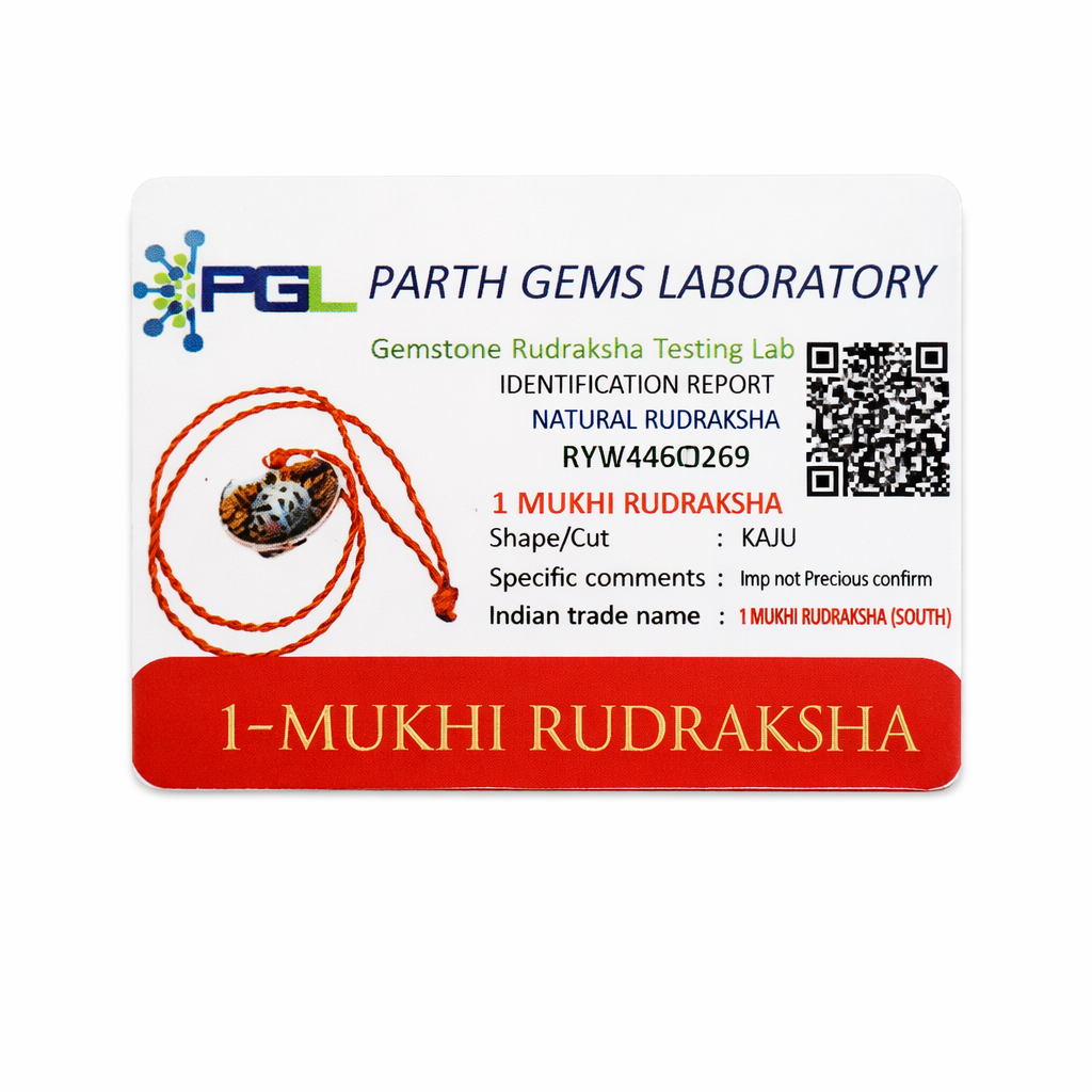 RudraPrana™ 1 Mukhi Rudraksha Pendant - Nepal Origin