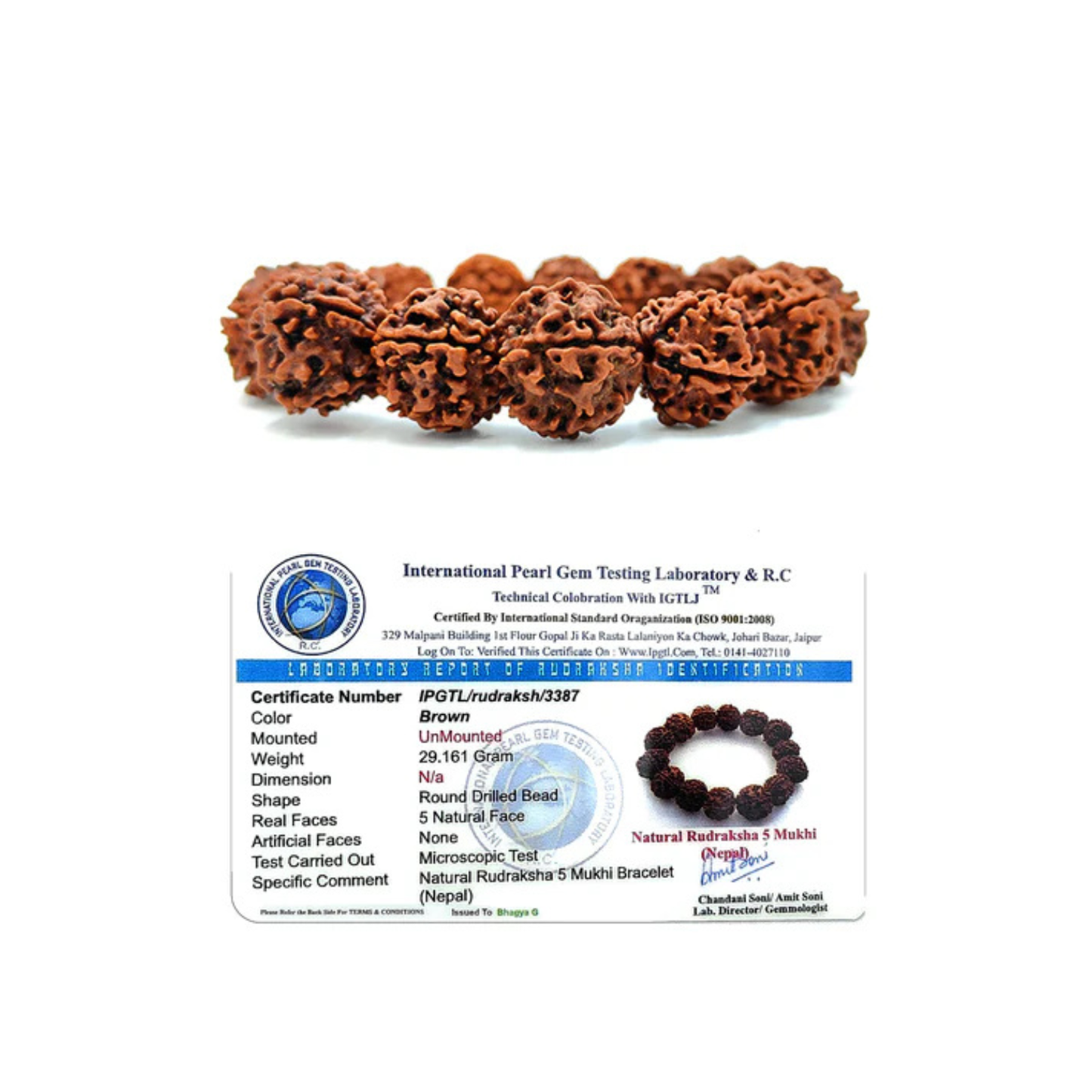 RudraPrana™ Divine 5 Mukhi Rudraksha Bracelet (8MM Beads)