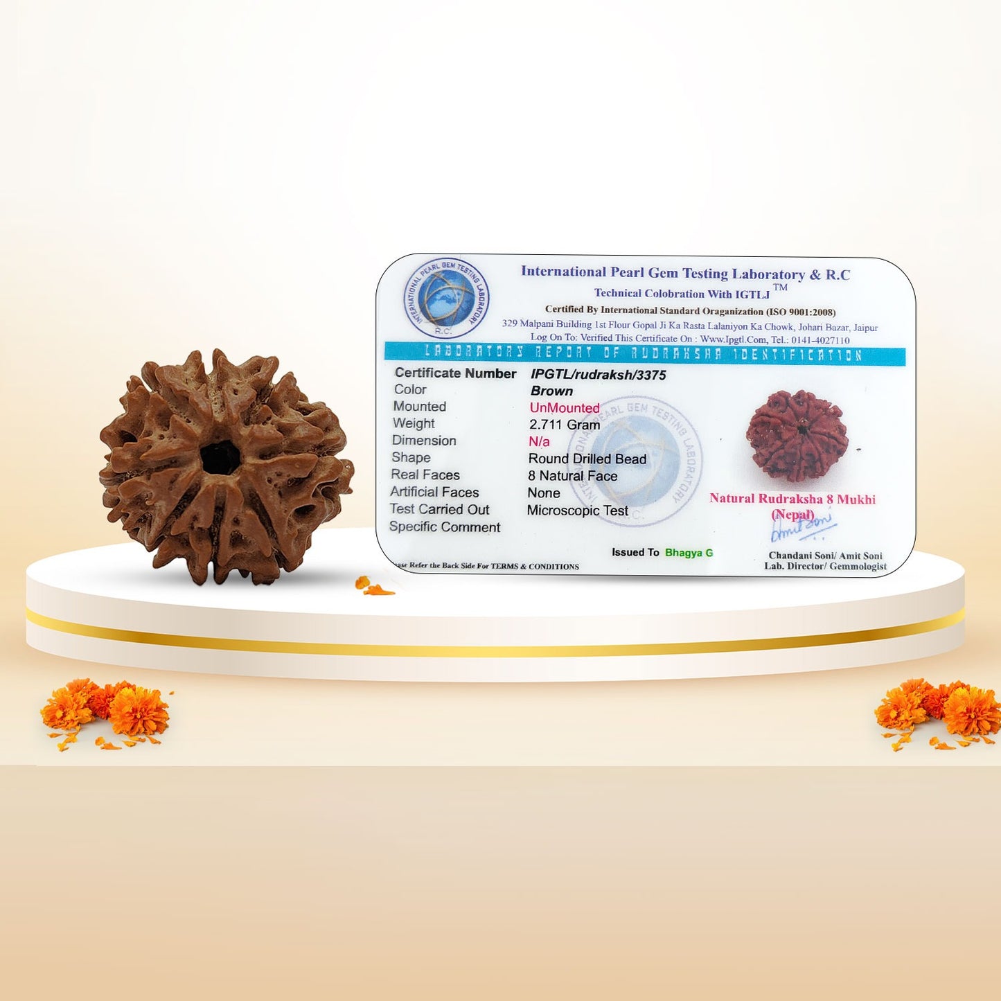 RudraPrana™ 8 Mukhi Rudraksha Pendant - Nepal Origin