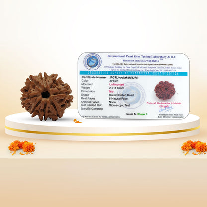 RudraPrana™ 8 Mukhi Rudraksha Pendant - Nepal Origin