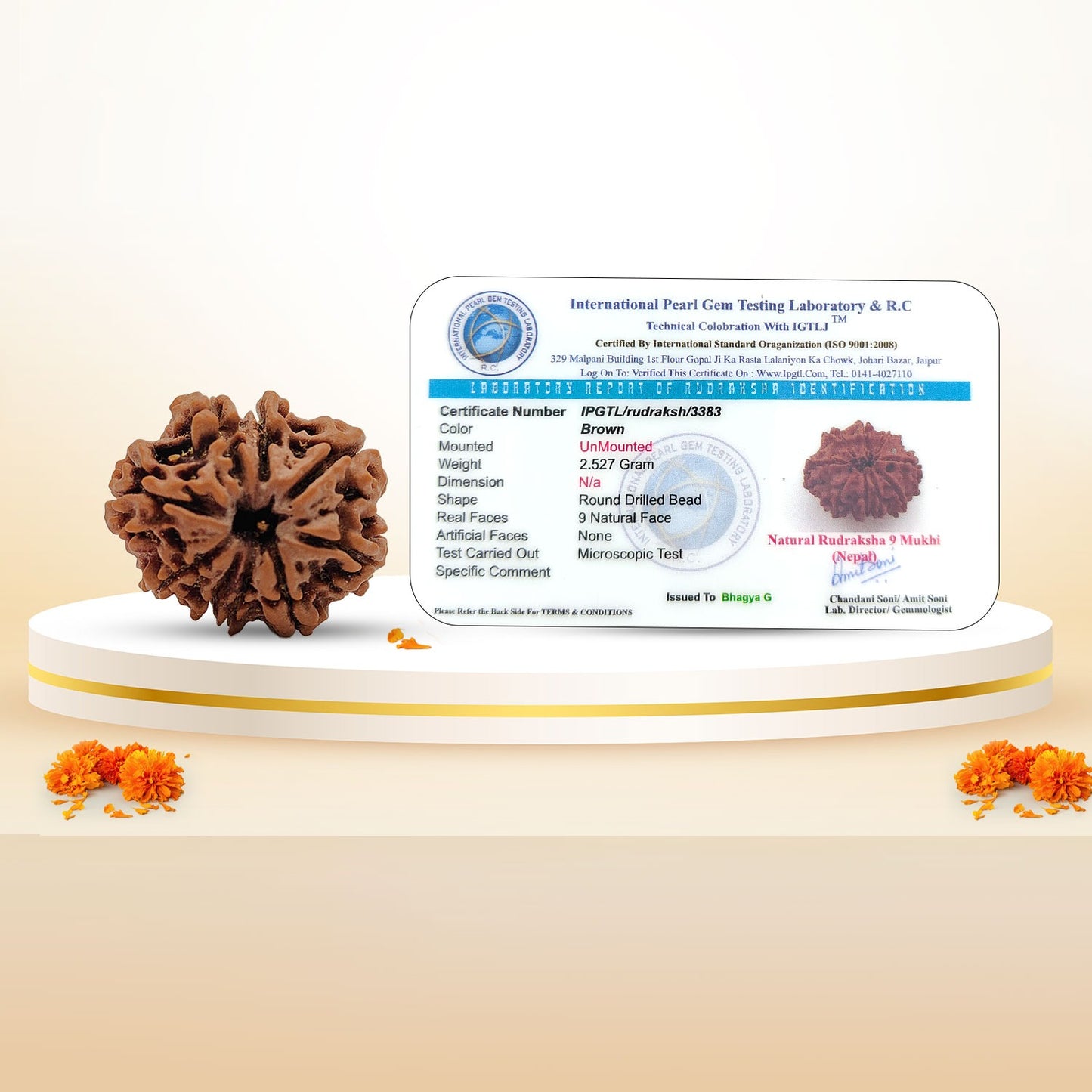 RudraPrana™ 9 Mukhi Rudraksha Pendant - Nepal Orgin