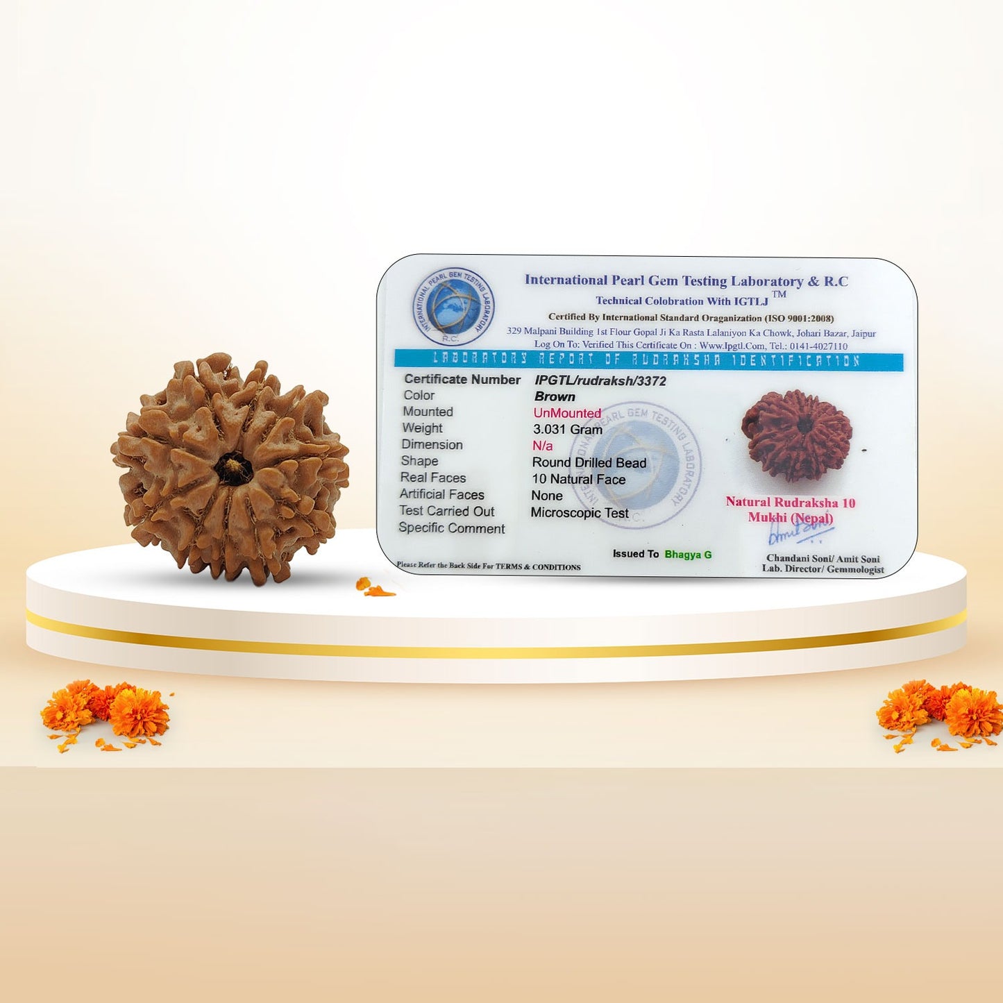 RudraPrana™ 10 Mukhi Rudraksha Pendant - Nepal Origin