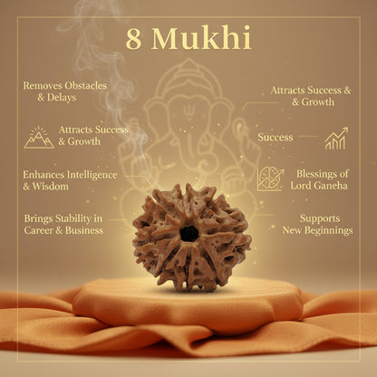 RudraPrana™ 8 Mukhi Rudraksha Pendant - Nepal Origin
