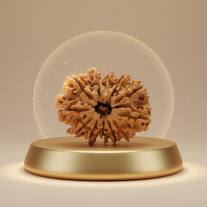 RudraPrana™ 11 Mukhi Rudraksha Pendant - Nepal Origin