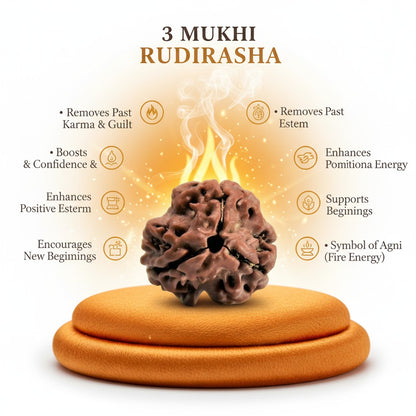 RudraPrana™ 3 Mukhi Rudraksha Pendant - Nepal Origin