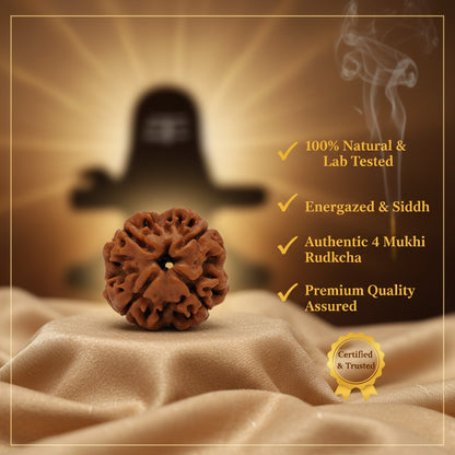 RudraPrana™ 4 Mukhi Rudraksha Pendant - Nepal Origin