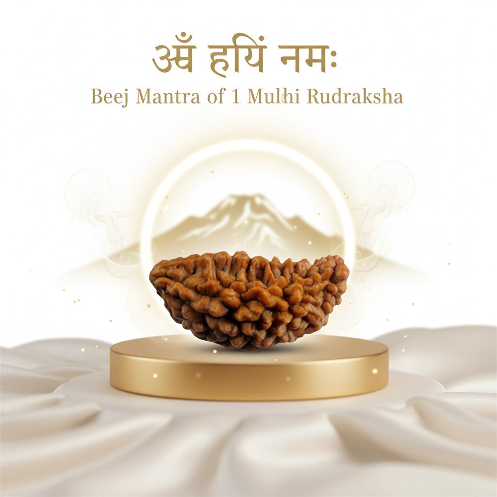 RudraPrana™ 1 Mukhi Rudraksha Pendant - Nepal Origin