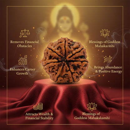 RudraPrana™ 7 Mukhi Rudraksha - Nepal Origin