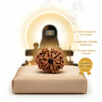 RudraPrana™ 9 Mukhi Rudraksha Pendant - Nepal Orgin
