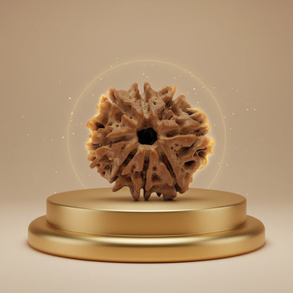 RudraPrana™ 8 Mukhi Rudraksha Pendant - Nepal Origin