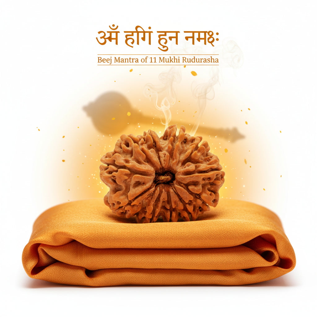 RudraPrana™ 11 Mukhi Rudraksha Pendant - Nepal Origin