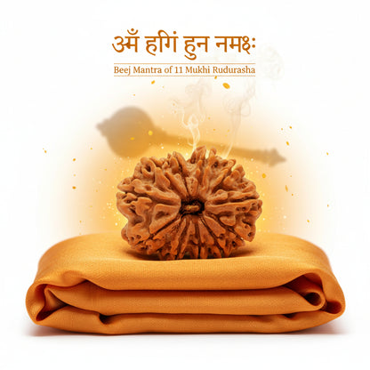 RudraPrana™ 11 Mukhi Rudraksha Pendant - Nepal Origin