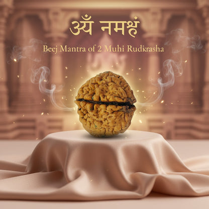 RudraPrana™ 2 Mukhi Rudraksha Pendant - Nepal Origin