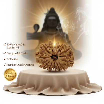 RudraPrana™ 11 Mukhi Rudraksha Pendant - Nepal Origin