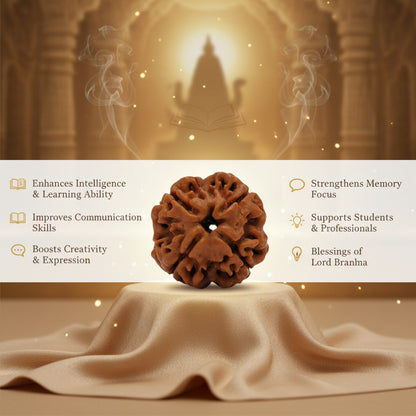 RudraPrana™ 4 Mukhi Rudraksha Pendant - Nepal Origin