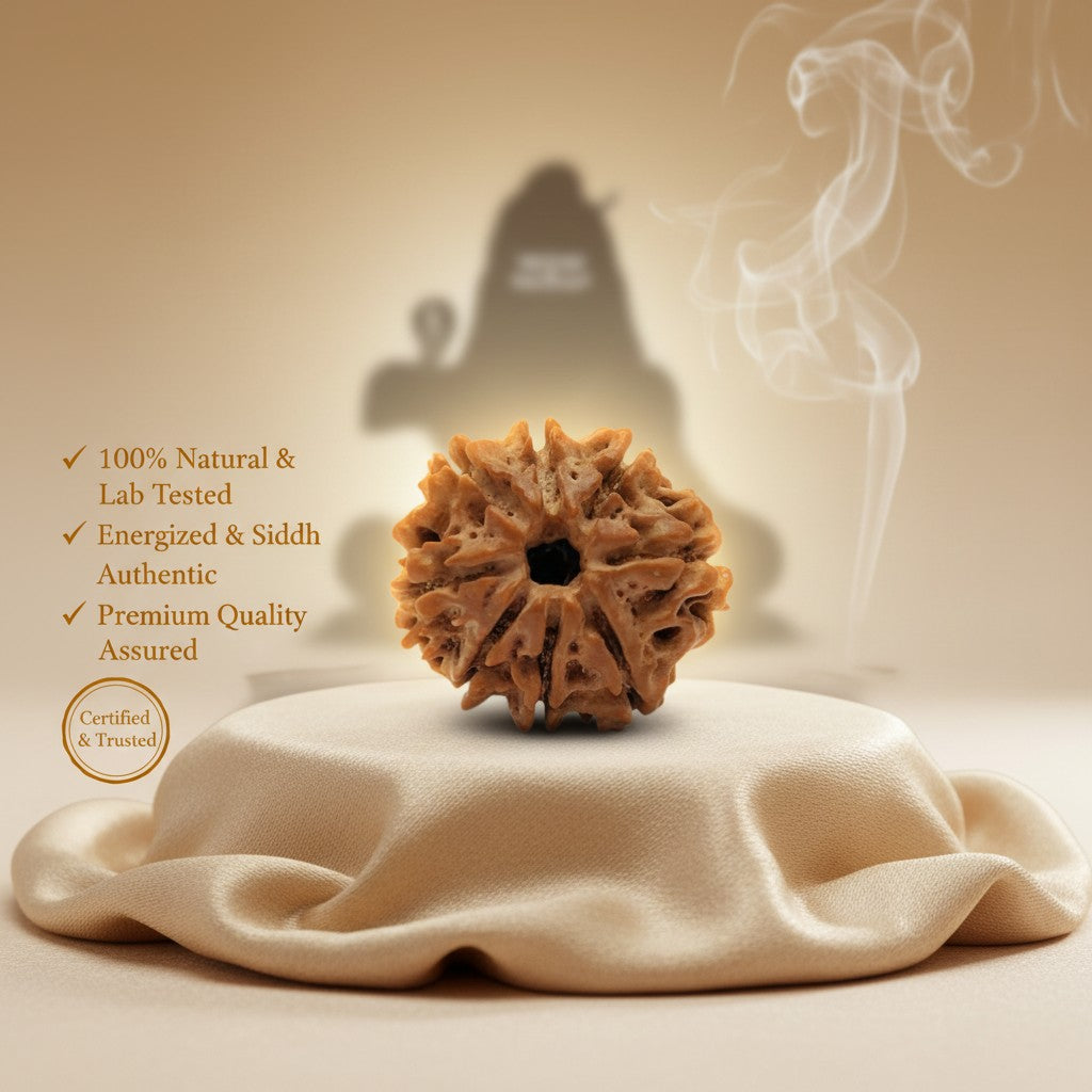 RudraPrana™ 8 Mukhi Rudraksha Pendant - Nepal Origin