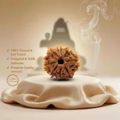 RudraPrana™ 8 Mukhi Rudraksha Pendant - Nepal Origin