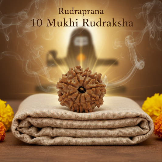 RudraPrana™ 10 Mukhi Rudraksha Pendant - Nepal Origin