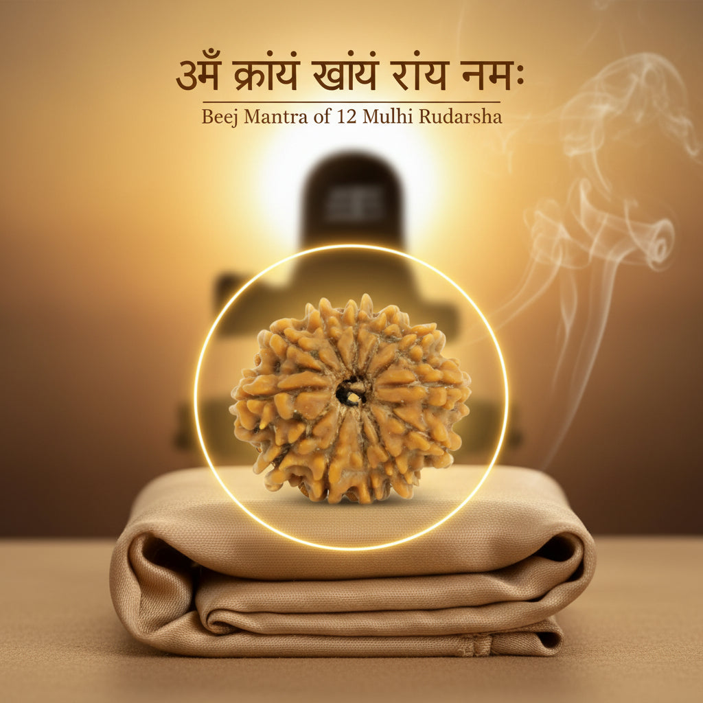 RudraPrana™ 12 Mukhi Rudraksha Pendant - Nepal Orgin (Lab Certified)