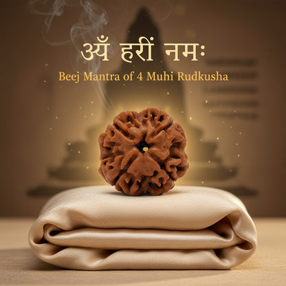 RudraPrana™ 4 Mukhi Rudraksha Pendant - Nepal Origin