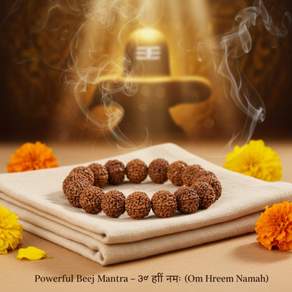 RudraPrana™ Divine 5 Mukhi Rudraksha Bracelet (8MM Beads)