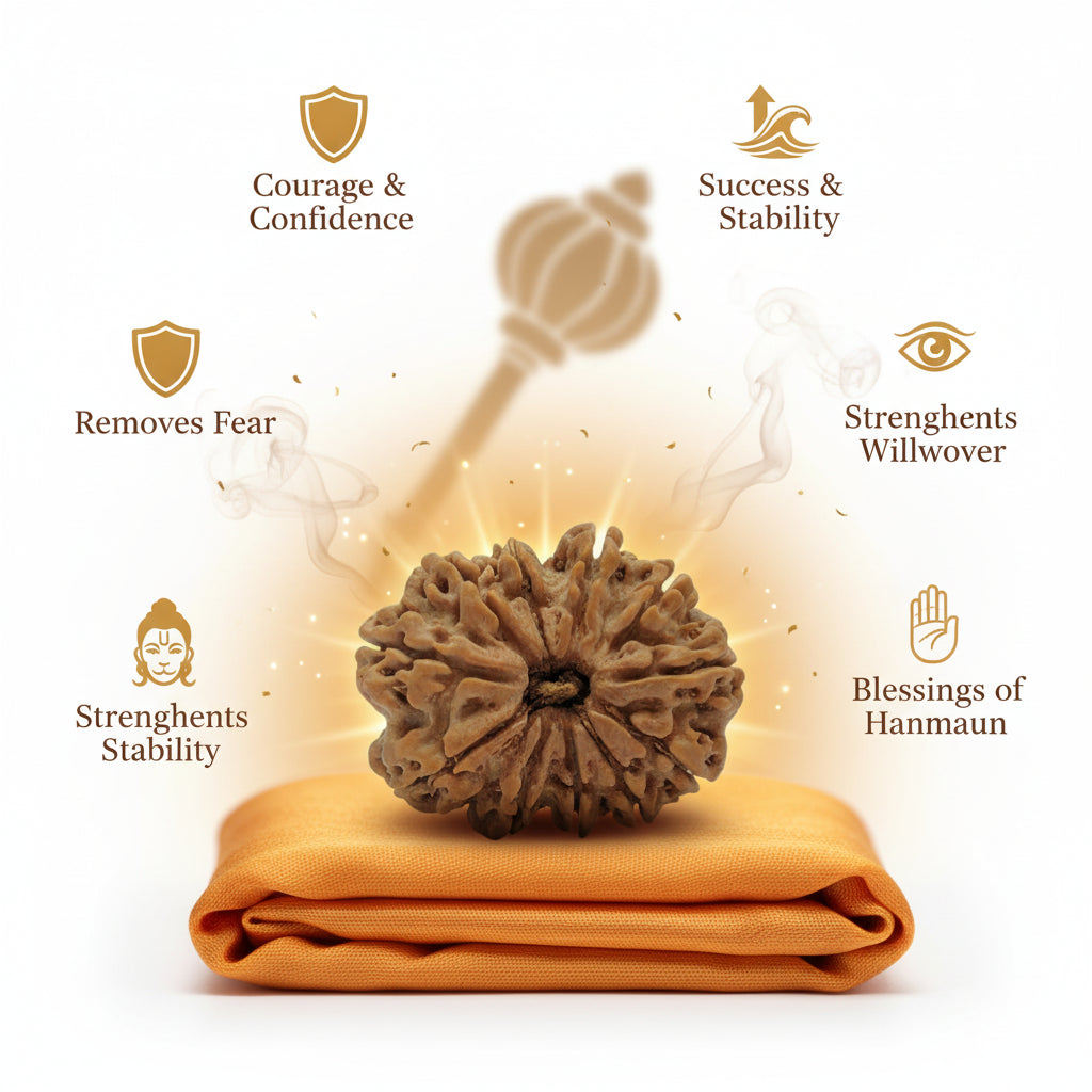 RudraPrana™ 11 Mukhi Rudraksha Pendant - Nepal Origin