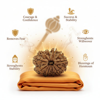 RudraPrana™ 11 Mukhi Rudraksha Pendant - Nepal Origin