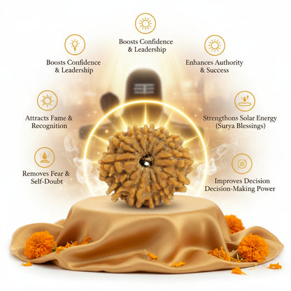 RudraPrana™ 12 Mukhi Rudraksha Pendant - Nepal Orgin (Lab Certified)