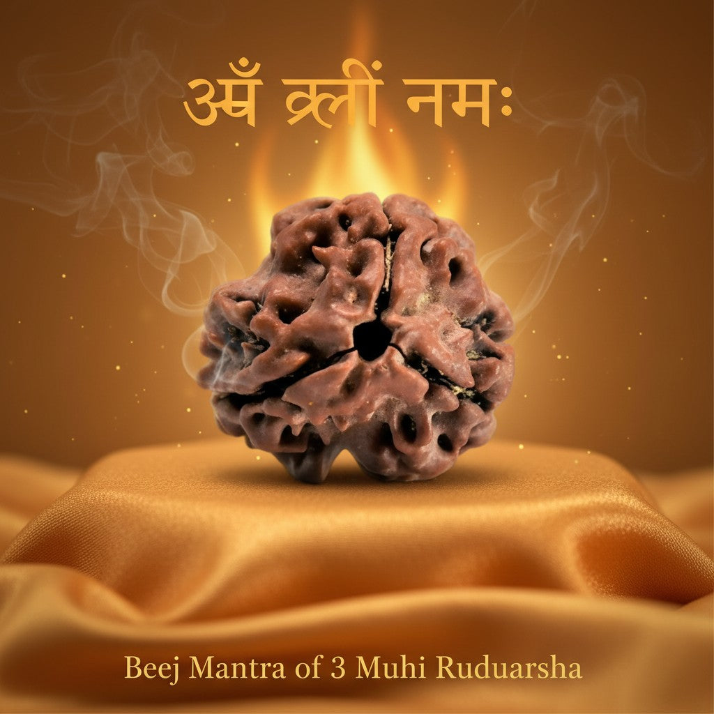 RudraPrana™ 3 Mukhi Rudraksha Pendant - Nepal Origin