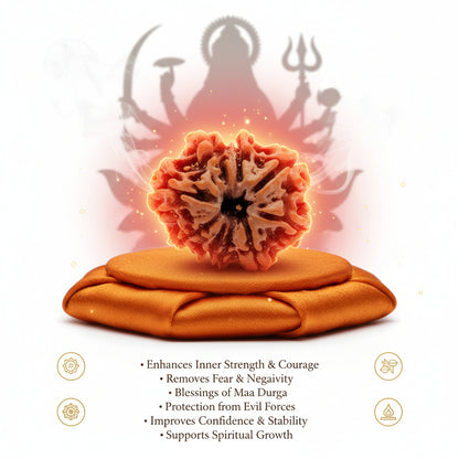 RudraPrana™ 9 Mukhi Rudraksha Pendant - Nepal Orgin