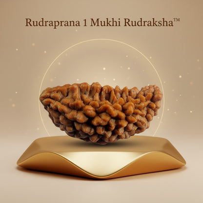 RudraPrana™ 1 Mukhi Rudraksha Pendant - Nepal Origin
