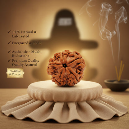 RudraPrana™ 5 Mukhi Rudraksha Pendant - Nepal Origin