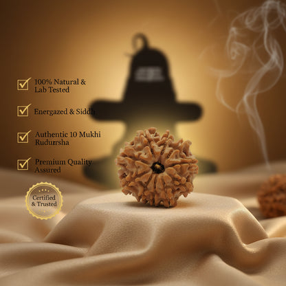RudraPrana™ 10 Mukhi Rudraksha Pendant - Nepal Origin